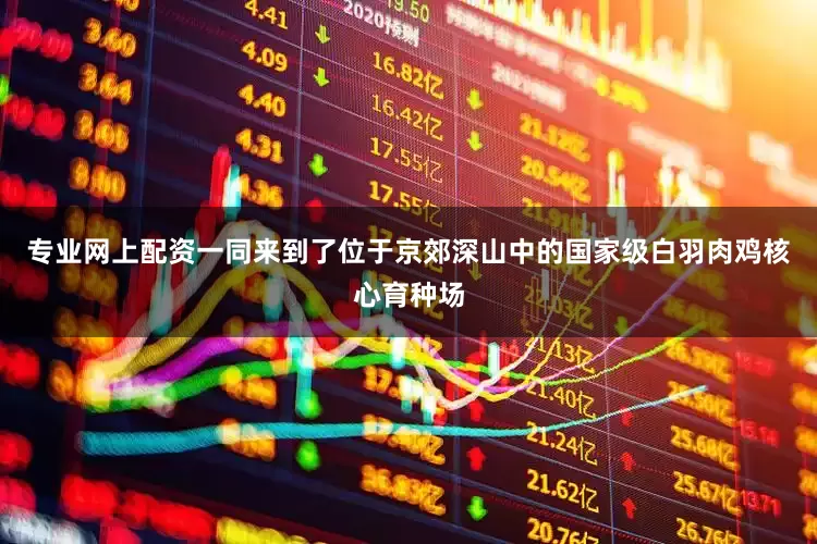 专业网上配资一同来到了位于京郊深山中的国家级白羽肉鸡核心育种场
