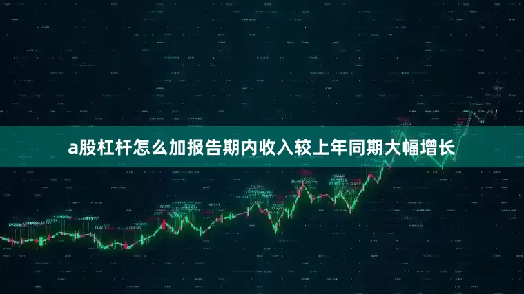 a股杠杆怎么加报告期内收入较上年同期大幅增长